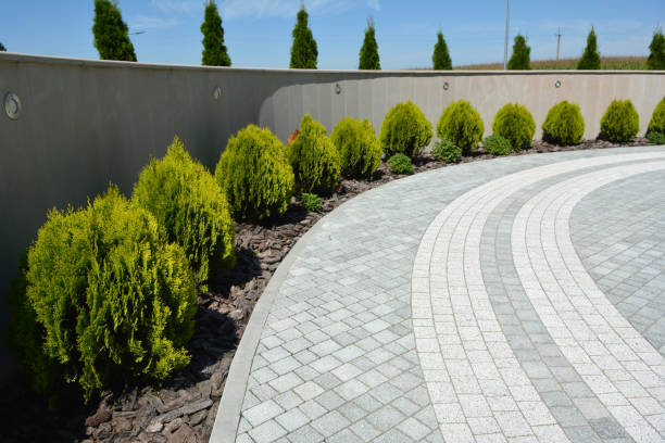 Best Driveway Repair Near Me  in Cutlerville, MI